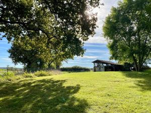 B&B / Chambres d'hotes Domaine Bourgade : photos des chambres
