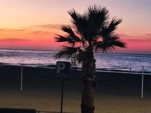 Diora Vila Park Apartment