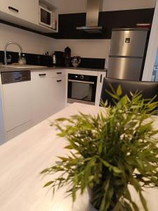Appartements Gite Pierre Blanche : photos des chambres