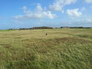 Haus-am-Meer14-App-038-WB