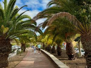 Apartment La Perla, Los Cristianos