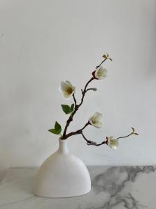 Góc Của Trúc - Diamond Brilliant Celadon Tân Phú