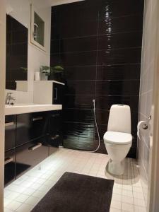 Moderni talo lähellä joulupukkia