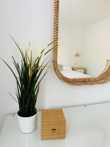 Alma House, cool pool Corralejo!