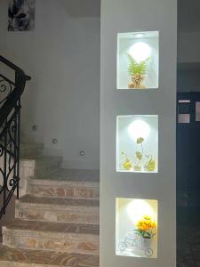 الشاطئ الفضي