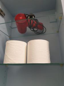 Garden flat in Navigli zone