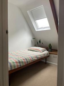 The Loft