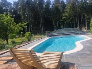 Gîte paisible avec piscine, terrasse et Wifi en pleine forêt pour 4 pers - FR-1-589-662 - La Bourgonce