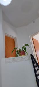 Departamento San Pedro, Buenos Aires