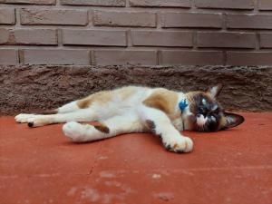 Moj Dom, casa en el centro de Oberá