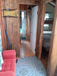 Departamento frente a la entrada de los ojos del caburgua