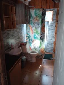 Departamento frente a la entrada de los ojos del caburgua