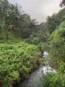 Plantation home - Kuttyādi