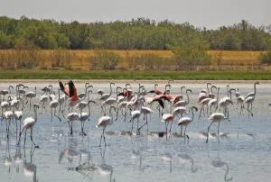 Casa Rural Romero - Villa de Don Fadrique