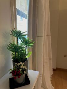 Cozy 2 BR Apartment in Madinaty