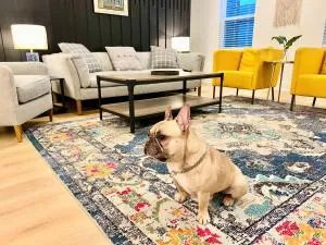 Closetobroadwayairportoprymillsgameroom16 - ماونت جولييت