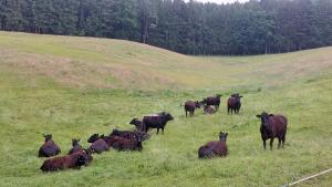 Ferienwohnung am Sperchenedergut