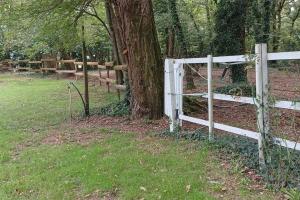 Chalets cabane : photos des chambres