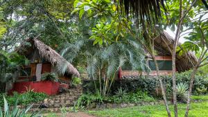 Ave de Montaña Cabañas