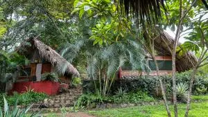 Ave de Montaña Cabañas - La Esmeralda