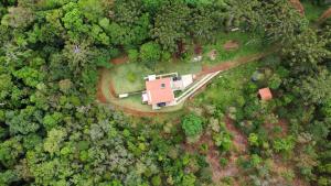 Casa das Araucárias - Sítio Salamandra, Vale do Matutu