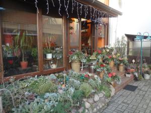 Alteschule15