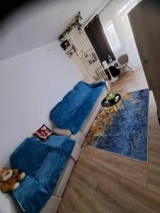 DMS studioVlaicu - Şofronea