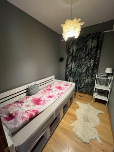 Apartman Jana 1