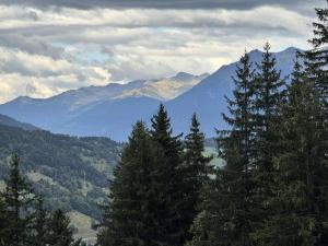 Appartements Residence Gollet - Le Gollet 62 - Studio divisible MAE-5771 : photos des chambres