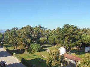 FGDR323F El farolillo