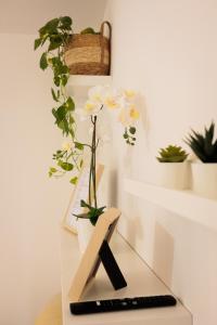 Pothos Apartment, Relax in Sardegna