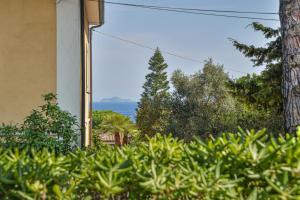 Elba Bellavista -- Casa Cerboli --