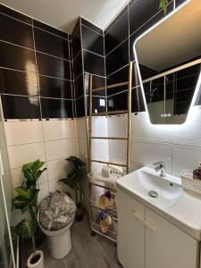 Appartements Studio le Cosy Jungle : photos des chambres