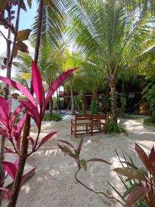 Secret Paradise Mahahual