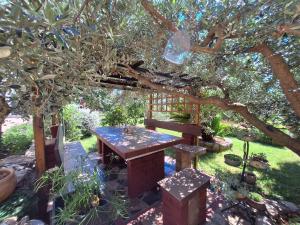 Apartments RUZA 