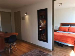 Bello y acogedor dpto cerca metro Baquedano 1303