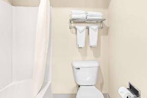 Queen Room with shower room in Best Western Baraboo Inn
