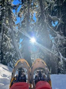 Aframe of Mind Packwood