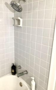 Cute 2 Bedroom Home - Huge backyard, near downtown!