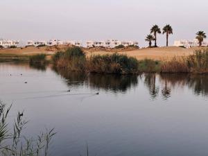 Disfruta de Murcia
