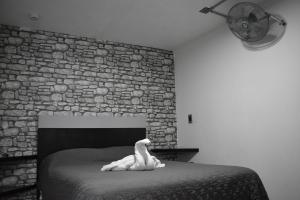 El Suburbio - Morelos Sur