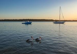 Koala Lodge Studio 1