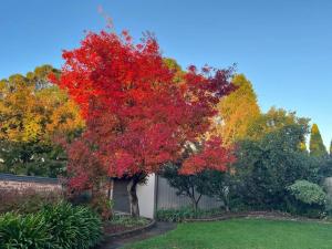 The Cricket House - Family & Pet-Friendly Home