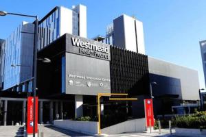 Spacious Home Very Close to Hospital & Parra Park