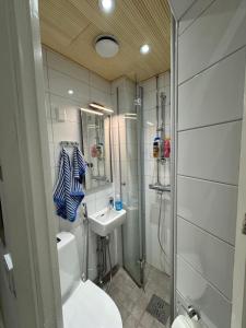 Cozy Studio in Ullanlinna with central location