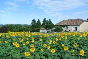 Maisons de vacances Chez Sarrazin : photos des chambres