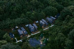 iTree Butterflys Forest Guangzhou Huadu