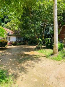 Little Mount Guest House