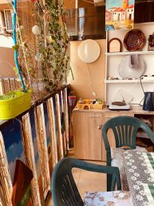 Студия Мир Авангарда