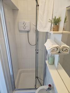 Snug Triple Bunk Studio Room